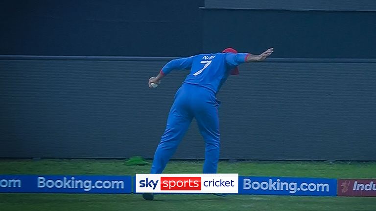 Mohammed Nabi takes a stunning catch just inside the boundary rope